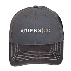 ARIENS CO CAP